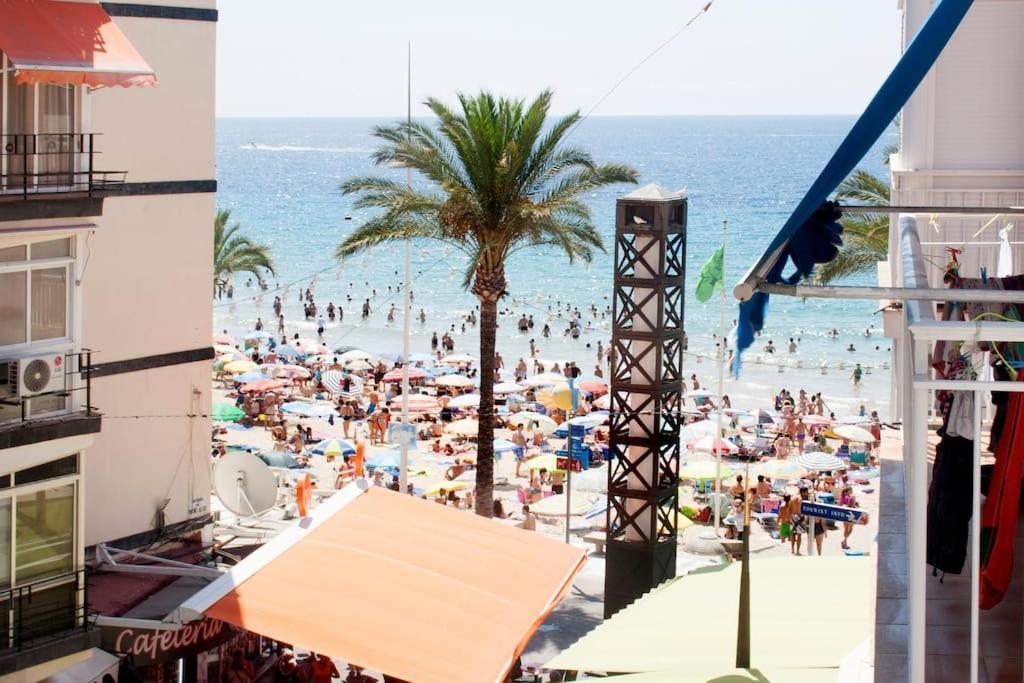 Seafront Unique Location B6 Leilighet Benidorm Eksteriør bilde